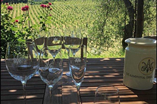 Wine Tasting and Winery tour - Should You Book Madonna del Latte for Your Orvieto Wine Day?