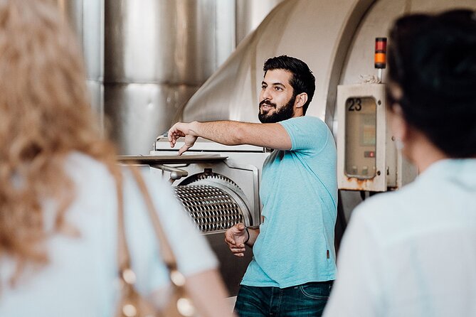 Wine tasting and winery tour at Fikardos Winery - Who should book the Fikardos 6-wine tour?