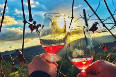 Wine Tasting and Winery Tour in Lemona Village, Paphos - Terrace wine tasting: Xynisteri, organic highlights, and a full flight