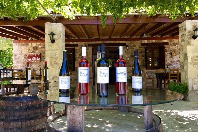 Wine Tasting and Winery Tour in Lemona Village, Paphos - Price and logistics: when it’s good value, and when to double-check