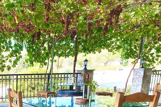 Wine Tasting and Winery Tour in Lemona Village, Paphos - Who should book this Lemona wine tasting?