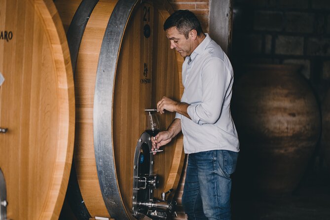 Wine Tasting and Winery Tour in Vesuvio National Park with Lunch - Key highlights you’ll actually care about