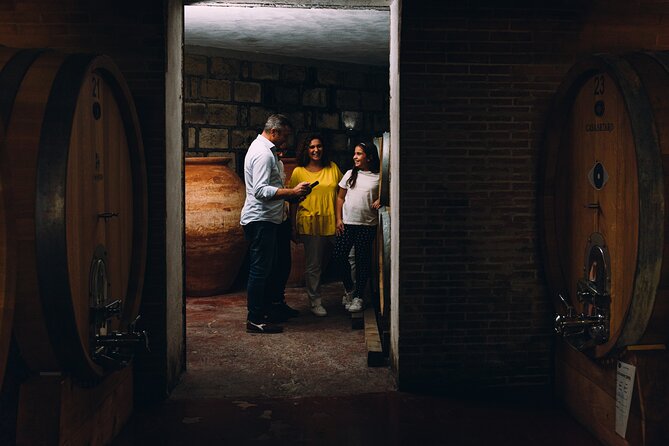 Wine Tasting and Winery Tour in Vesuvio National Park with Lunch - What you’re booking: a volcanic wine tour with lunch pairings