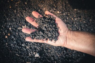Wine Tasting and Winery Tour in Vesuvio National Park with Lunch - Cellar tour in lava stone: amphora and steel vats