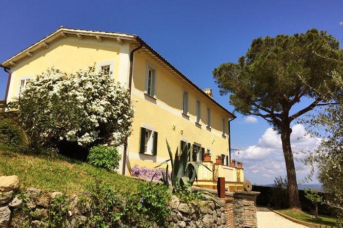 Wine Tasting and Winery tour - The 2-Hour Flow: Vineyard Walk, Cellars, Then Barrels