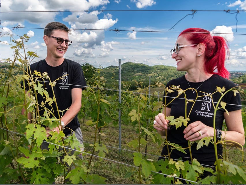 Wine Tasting and Winery Visit near Asti and Turin - The four-wine tasting: more than a sip-and-go