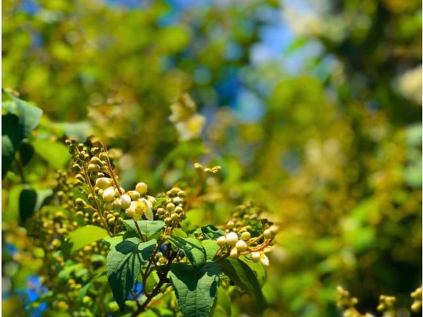 Wine Tasting and Winery Visit near Asti and Turin - Food pairing that makes tasting feel logical