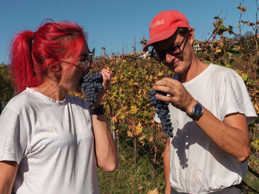 Wine Tasting and Winery Visit near Asti and Turin - Who this is best for (and who should skip)