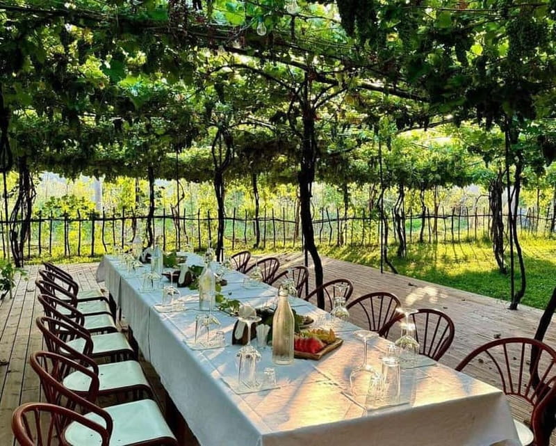 Wine Tasting Experience at Alpeta Winery - Key Highlights I’d Plan Around at Alpeta Winery