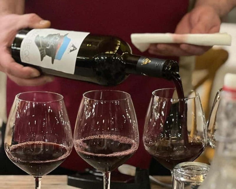 Wine Tasting Experience at Alpeta Winery - Vineyard Walk: Getting Context Before You Taste