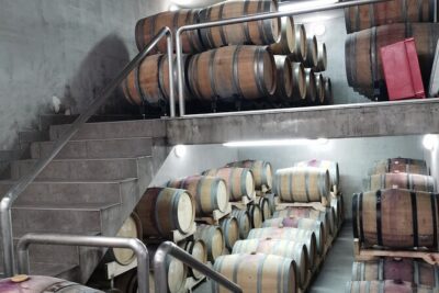 Wine Tasting Experience at the organic winery in Šišan - Your Tasting Flow: Wine Selection, Pacing, and Pairing Snacks