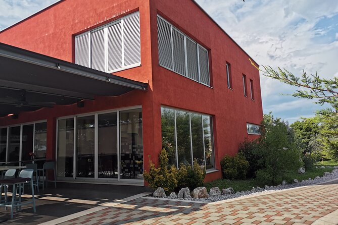 Wine Tasting Experience at the organic winery in Šišan - Who Should Book This Organic Trapan Tasting?