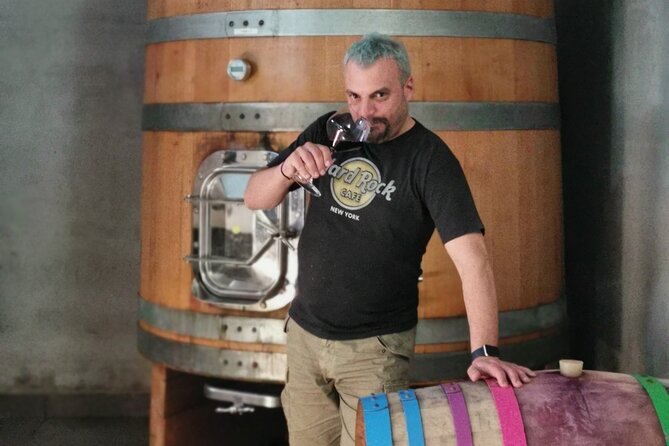 Wine Tasting Experience at the organic winery in Šišan - Should You Book This Wine Tasting in Šišan?