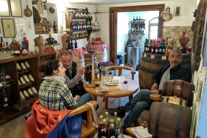 Wine tasting in the family winery, feel the spirit - Key Highlights You’ll Actually Feel
