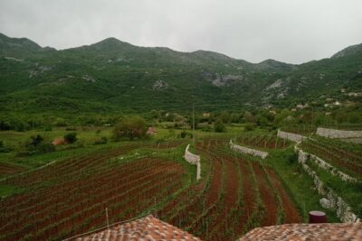 Wine tasting in the family winery, feel the spirit - How to Think About Montenegrin Wine on This Tasting