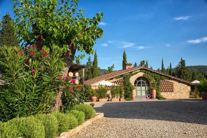 Wine tasting in the historical Cantalici winery - Logistics that make or break a tasting slot