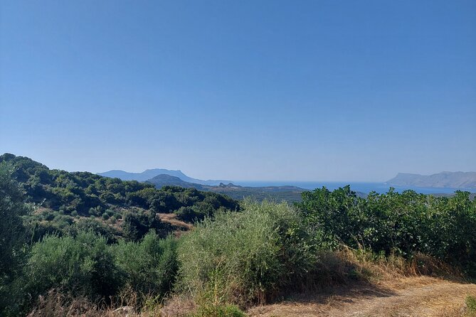 Wine Tasting: Meet the Cretan Vineyard at West Chania - The People Behind the Pour: Oenologist Energy and Winemaker Passion