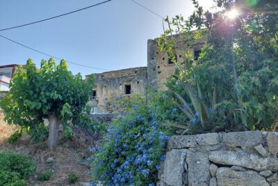 Wine Tasting: Meet the Cretan Vineyard at West Chania - Pairing the Wines: Cheese, Pies, Honey, and Olive Oil