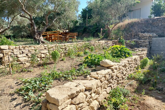 Wine Tasting: Meet the Cretan Vineyard at West Chania - English-Friendly, Adult-Only Wine, Easy Participation