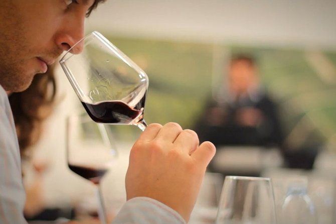 Wine Tasting Tour in Algarve Winery - Private attention in English: why the host’s role matters