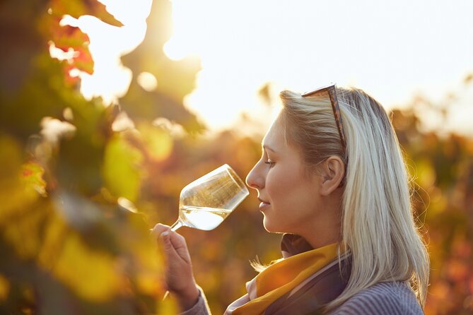 Wine Tasting Tour in Algarve Winery - Price and value: is $78.27 worth it?