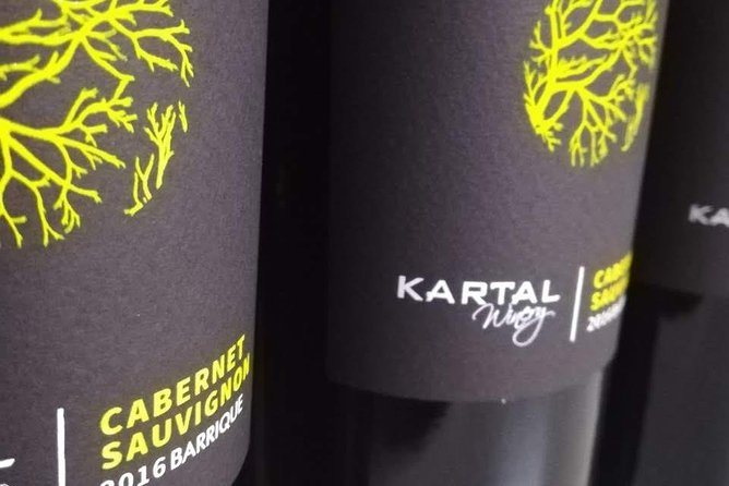 Wine Tasting Tour in Family winery Kartal in Skopje - Timing tips: making 12:00 pm work in your day