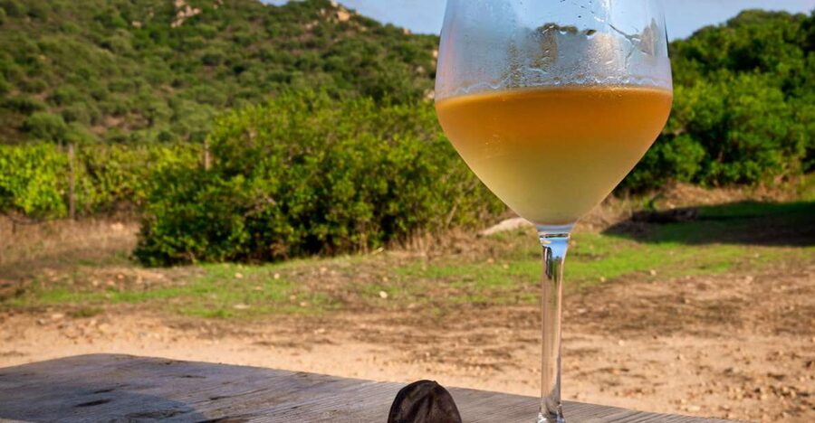 Wine tour and lunch or dinner at our vineyard - Key Highlights You Should Care About
