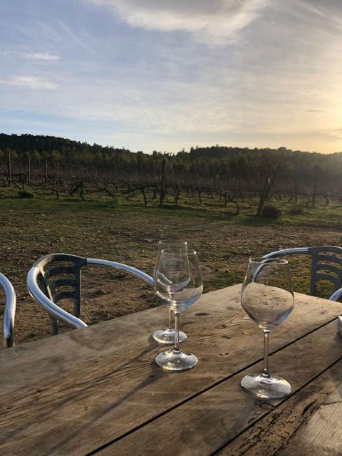 Wine tour and lunch or dinner at our vineyard - Meeting Point at Eurospin, Then a 5-Minute Vineyard Ride