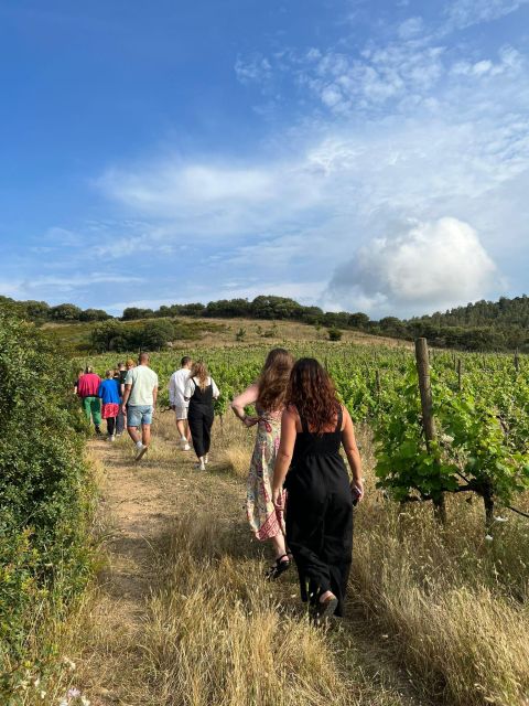 Wine tour and lunch or dinner at our vineyard - Spotting the Mediterranean Maquis Along the Way