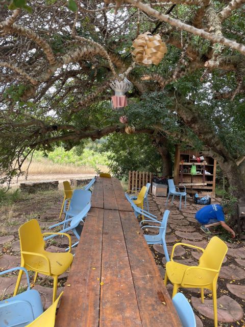 Wine tour and lunch or dinner at our vineyard - Price and Value: Why $113.29 Feels Fair Here