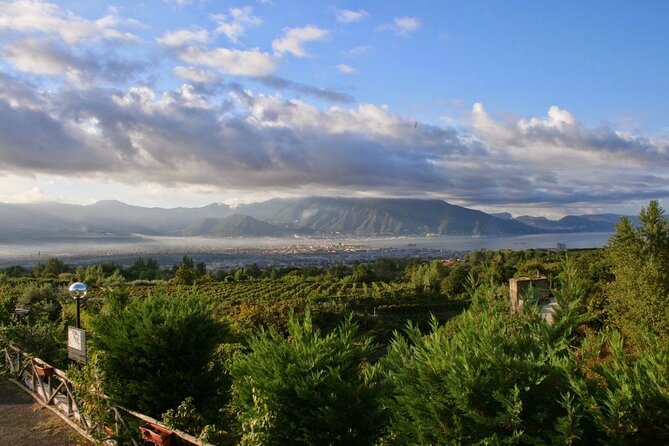 Wine Tour and Lunch with Winetasting and Vineyard Visit - Price and Value: Why $186.04 Can Make Sense