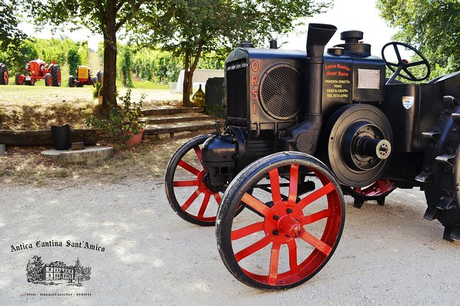 Wine Tour and Tasting at Le Marche's Oldest Wine Estate - Who this tour fits best (and who might want something longer)