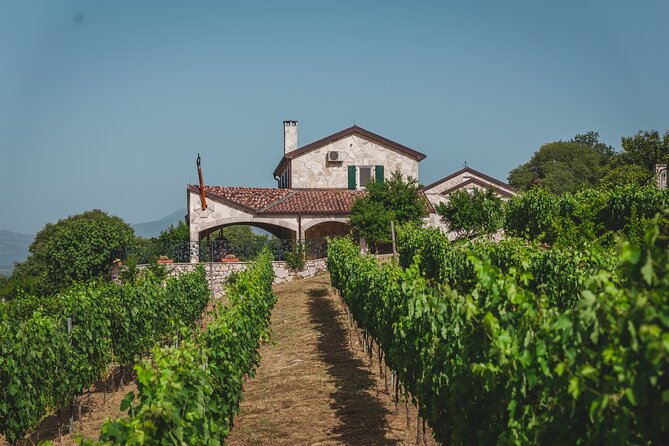 Wine tour- Family winery visit, food tasting & Skadar Lake boat cruise - Key highlights you should care about