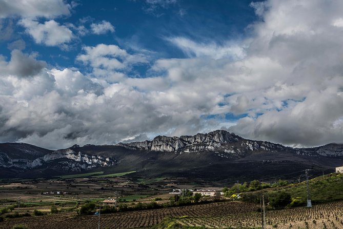 Wine Tour: Winery & Traditional Lunch From Logroño - Price and what you’re really paying for