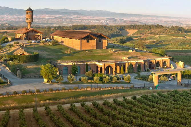 Wine Tour: Winery & Traditional Lunch From Logroño - Inside a La Rioja DO winery tasting: what to expect