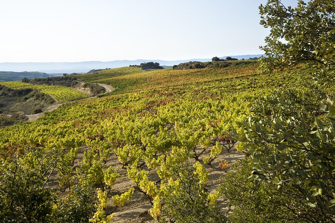 Wine Tour: Winery & Traditional Lunch From Logroño - Getting picked up and traveling in a small group