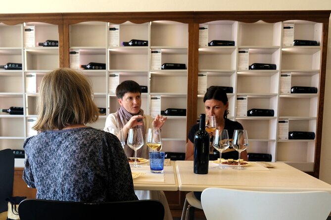 WINE TOUR with sommelier in a winery near Cagliari - Key highlights worth planning for