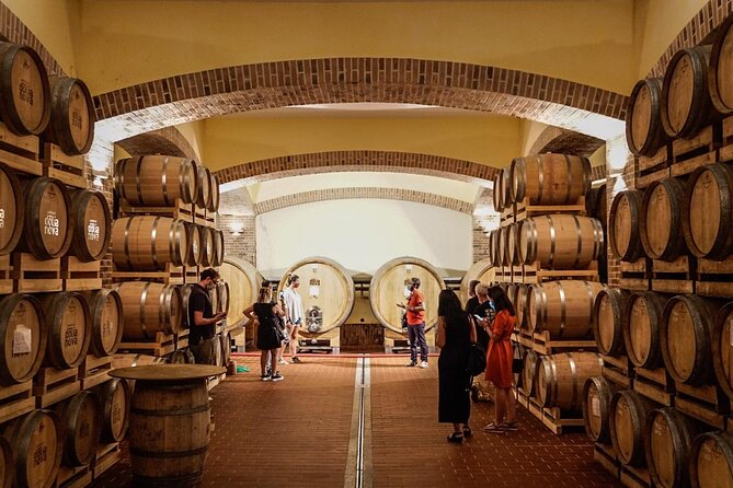 WINE TOUR with sommelier in a winery near Cagliari - Cantine di Dolianova: a wine tour that’s about making, not just tasting