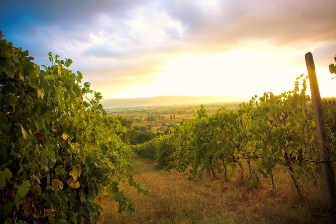 Winemaker for a Day: Tour an Organic Winery - Where this Assisi organic winery fits in your plans