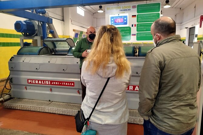 Winery And Oil Mill Tasting Tour - Why this Cagliari afternoon works so well
