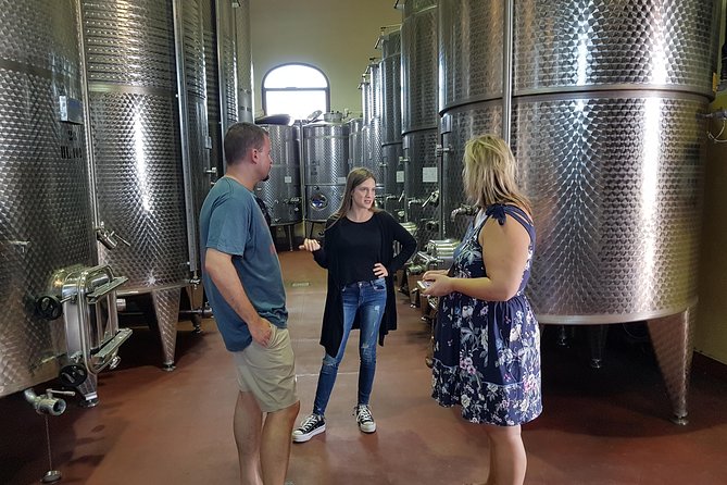 Winery And Oil Mill Tasting Tour - Stop 2 at Audarya: vineyard walk, cellar tour, then 4 wines