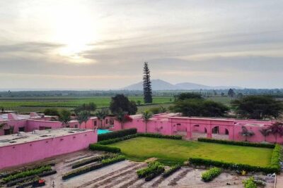 Winery and Pisco Distillery tour - Pickup, Drop-Off, and Getting Your Day Organized