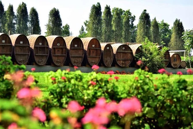 Winery and Pisco Distillery tour - Stop 3: Bodega Nietto (Built on a Family Founding)