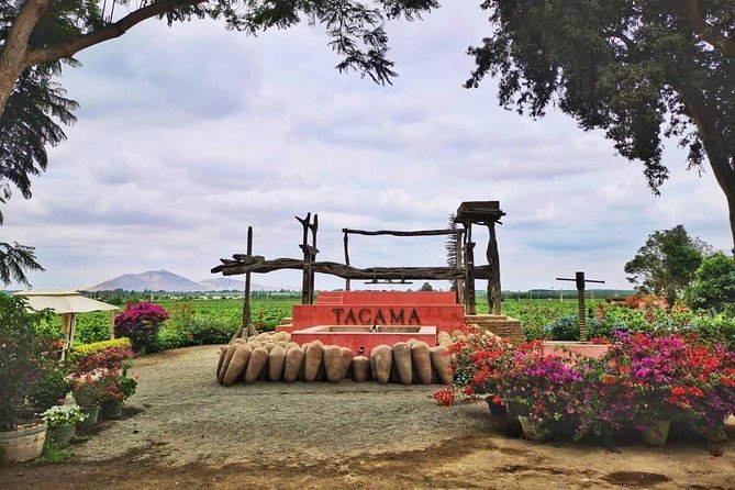 Winery and Pisco Distillery tour - What Past Guests Seem to Value Most