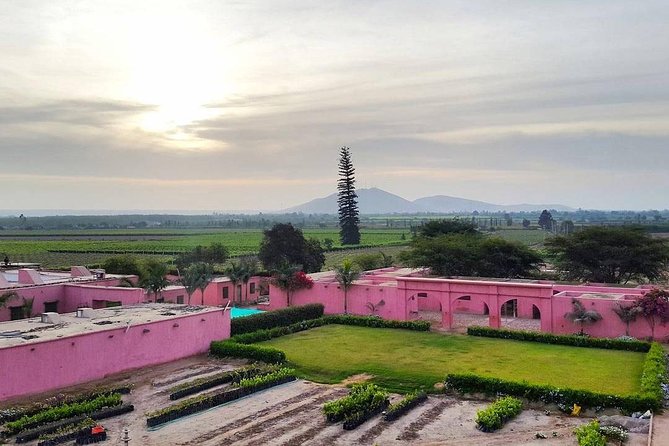 Winery and Pisco Distillery tour - Pickup, Drop-Off, and Getting Your Day Organized