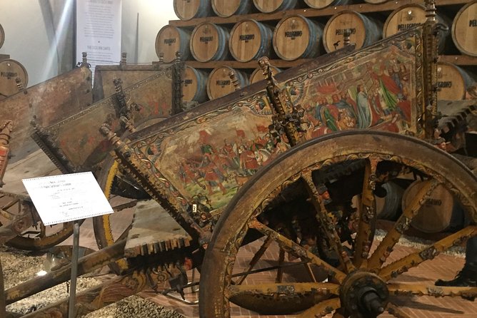 Winery tasting in Marsala and Mothia lagoon tour - Isole dello Stagnone: Mothia lagoon by flat keel boat