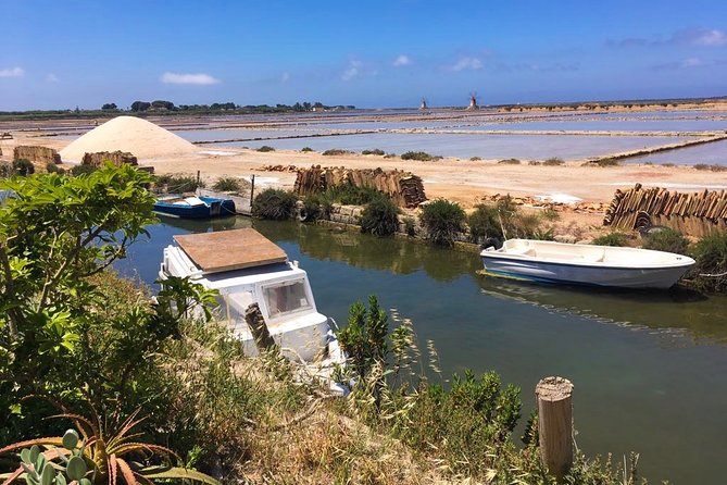 Winery tasting in Marsala and Mothia lagoon tour - Price and logistics: is $168.96 a fair deal?