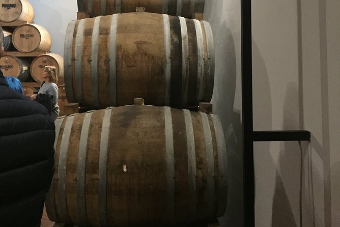 Winery tasting in Marsala and Mothia lagoon tour - Who should book this tour (and who might skip it)