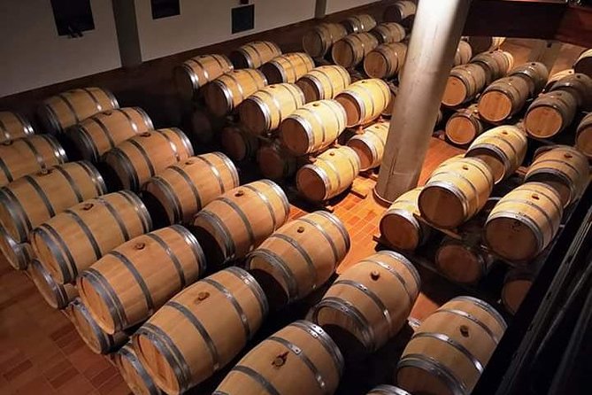 Winery tasting in Marsala and Mothia lagoon tour - Mamma Caura salt pans and the Phoenician 600 BC story