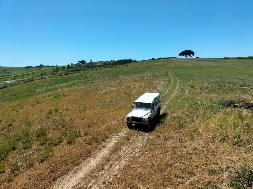 Winery, Tastings & 4x4 Vineyards: Half-Day Trip from Lisbon - Should You Book This Lisbon 4x4 Wine Tour?